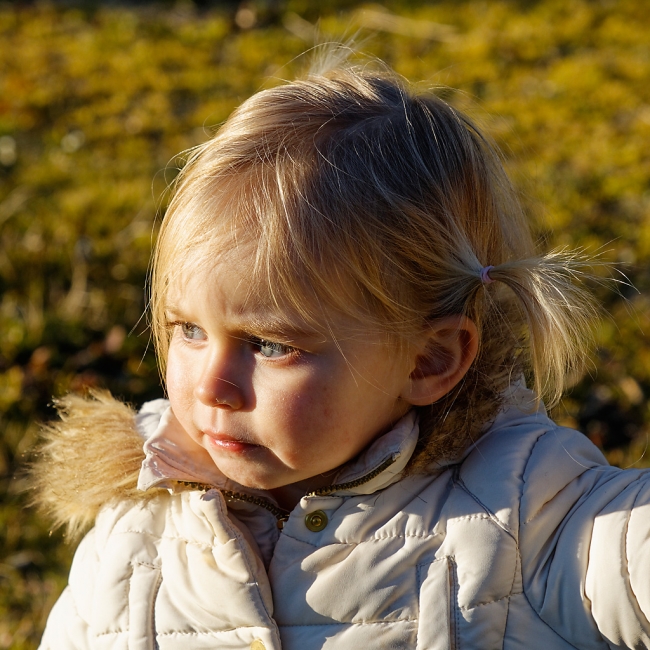 Famille et amis-FEV19-003